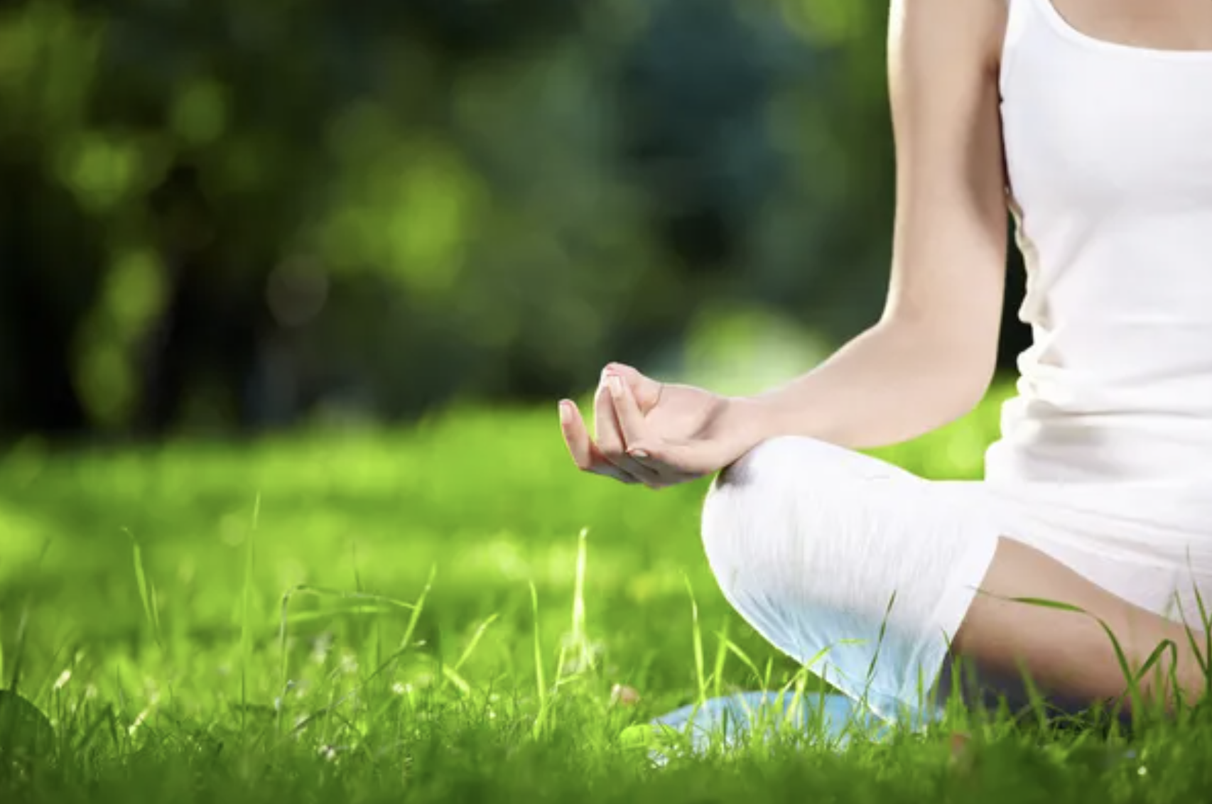 Práctica de meditación en un entorno natural