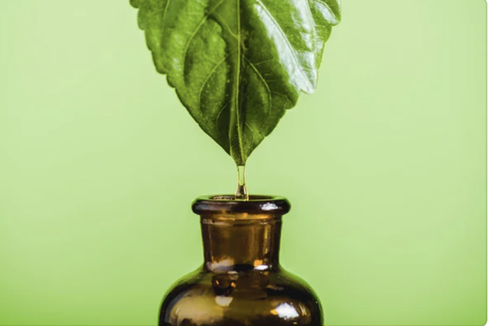 Hoja verde y frasco de vidrio como imagen de naturaleza y bienestar