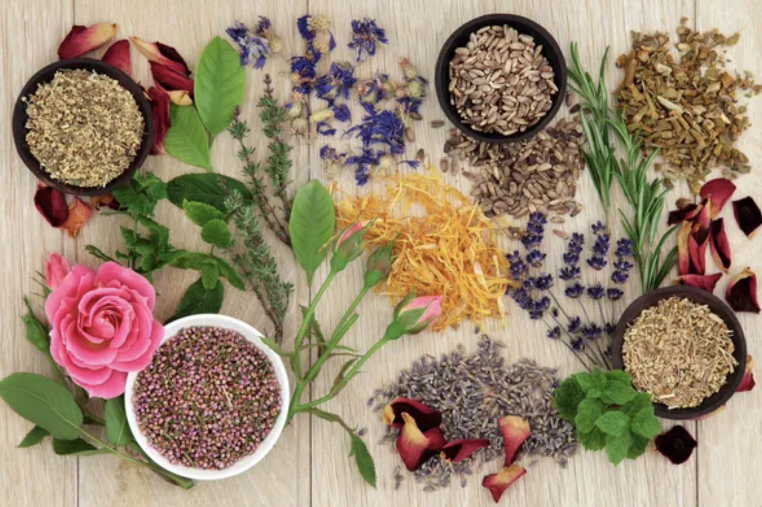 Plantas, flores y semillas como imagen de salud, arte y naturaleza